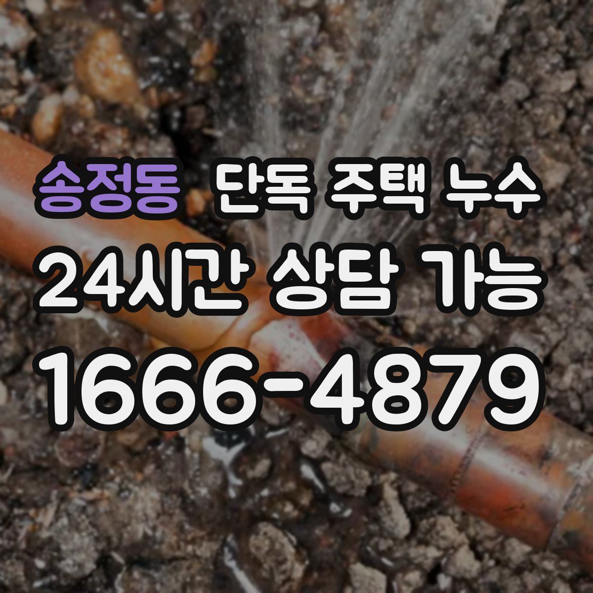 송정동 단독 주택 누수