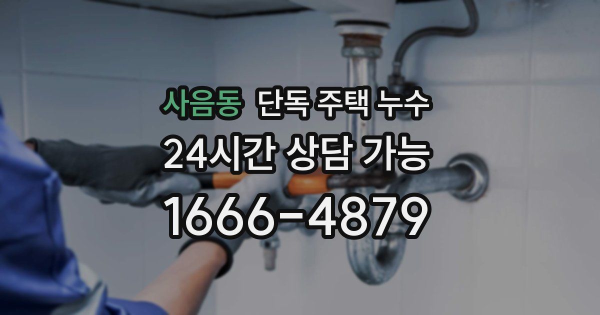 사음동 단독 주택 누수