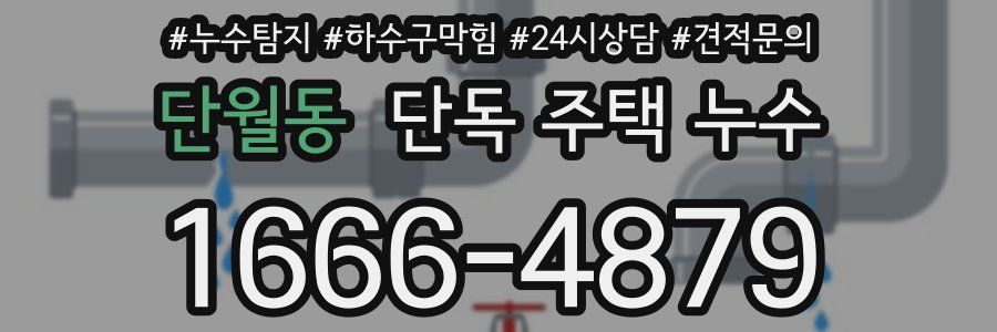 단월동 단독 주택 누수