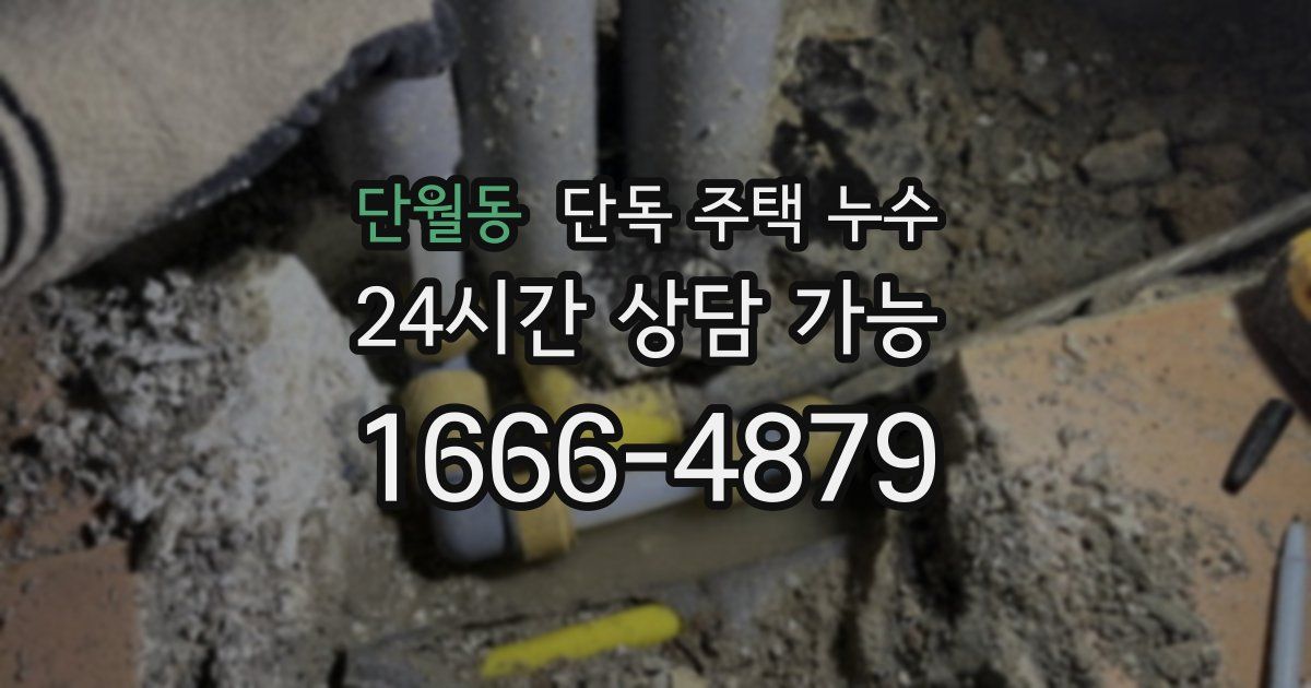 단월동 단독 주택 누수