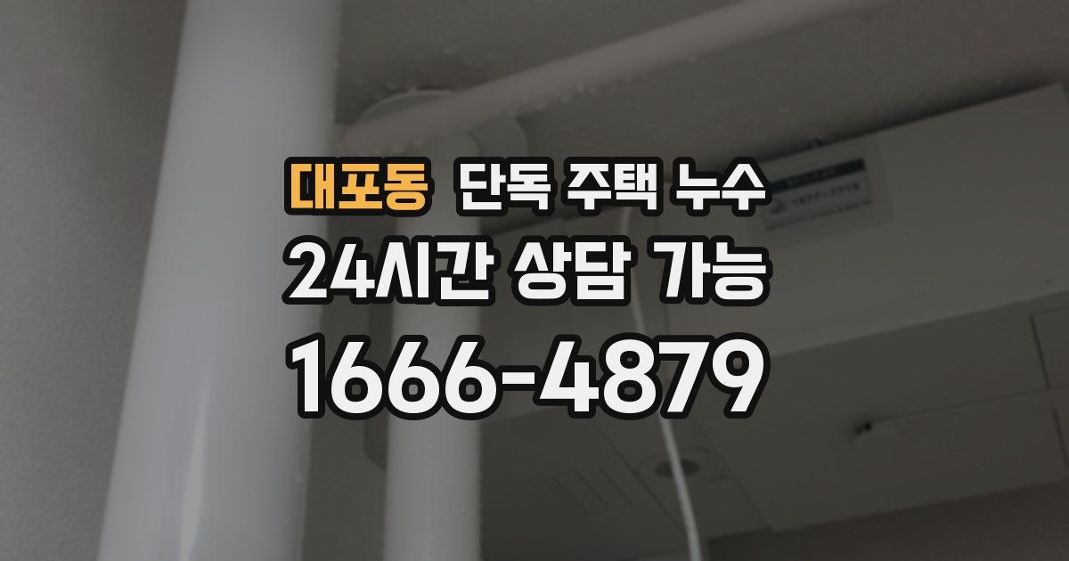 대포동 단독 주택 누수