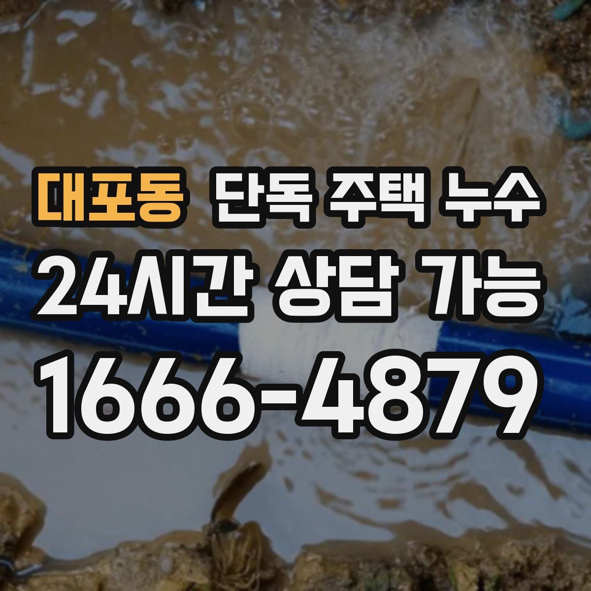 대포동 단독 주택 누수