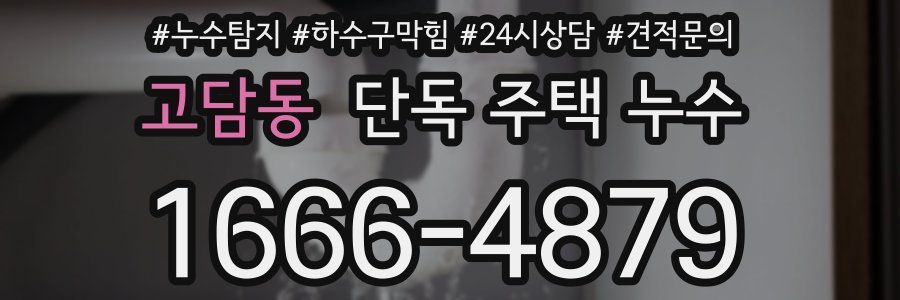 고담동 단독 주택 누수