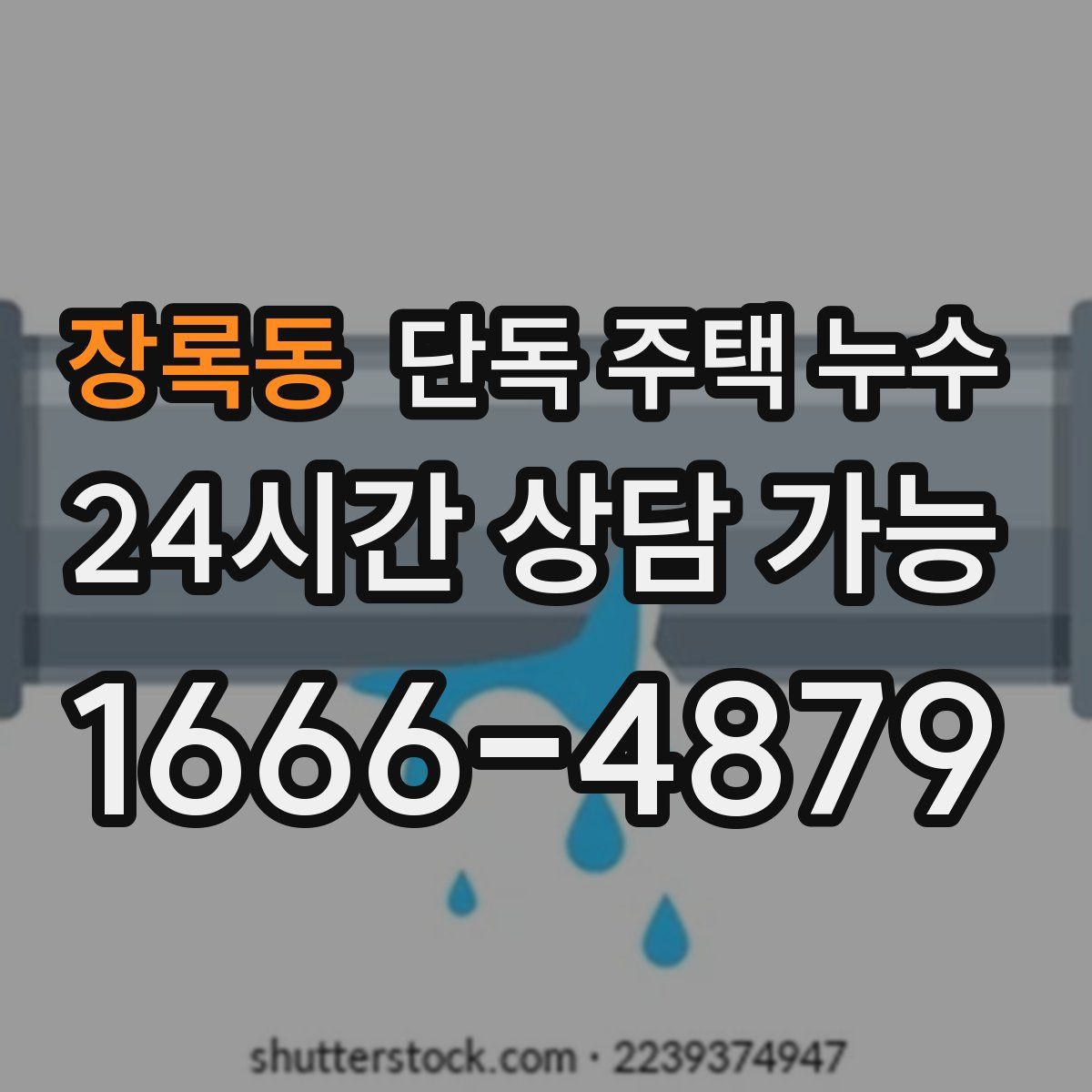 장록동 단독 주택 누수