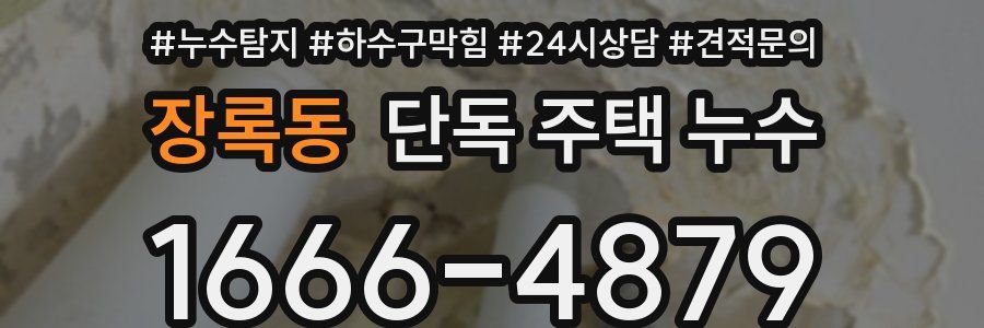 장록동 단독 주택 누수