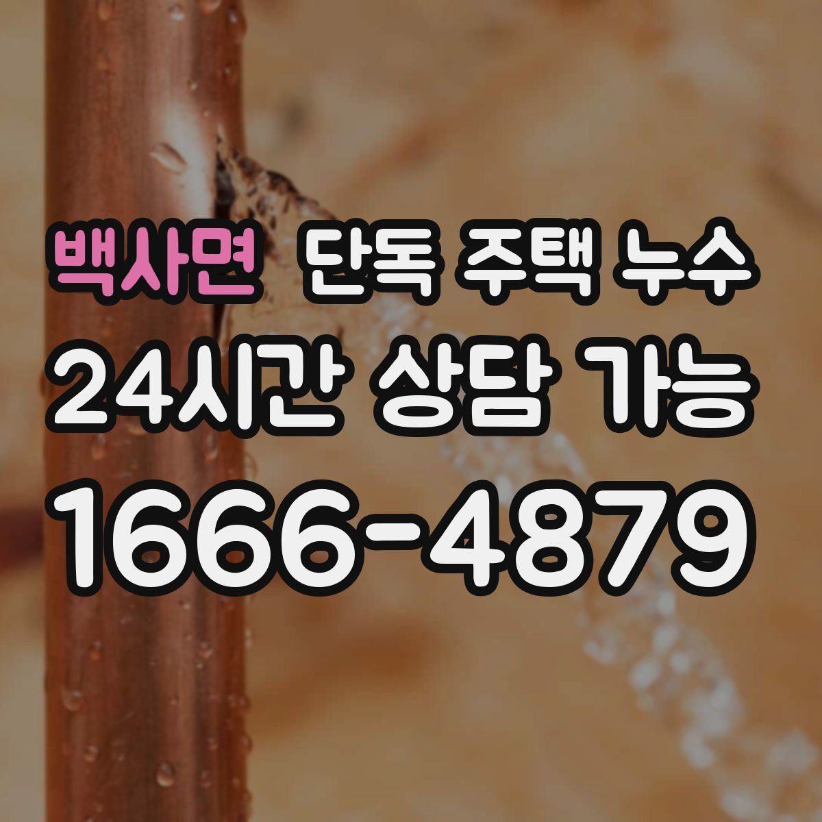 백사면 단독 주택 누수