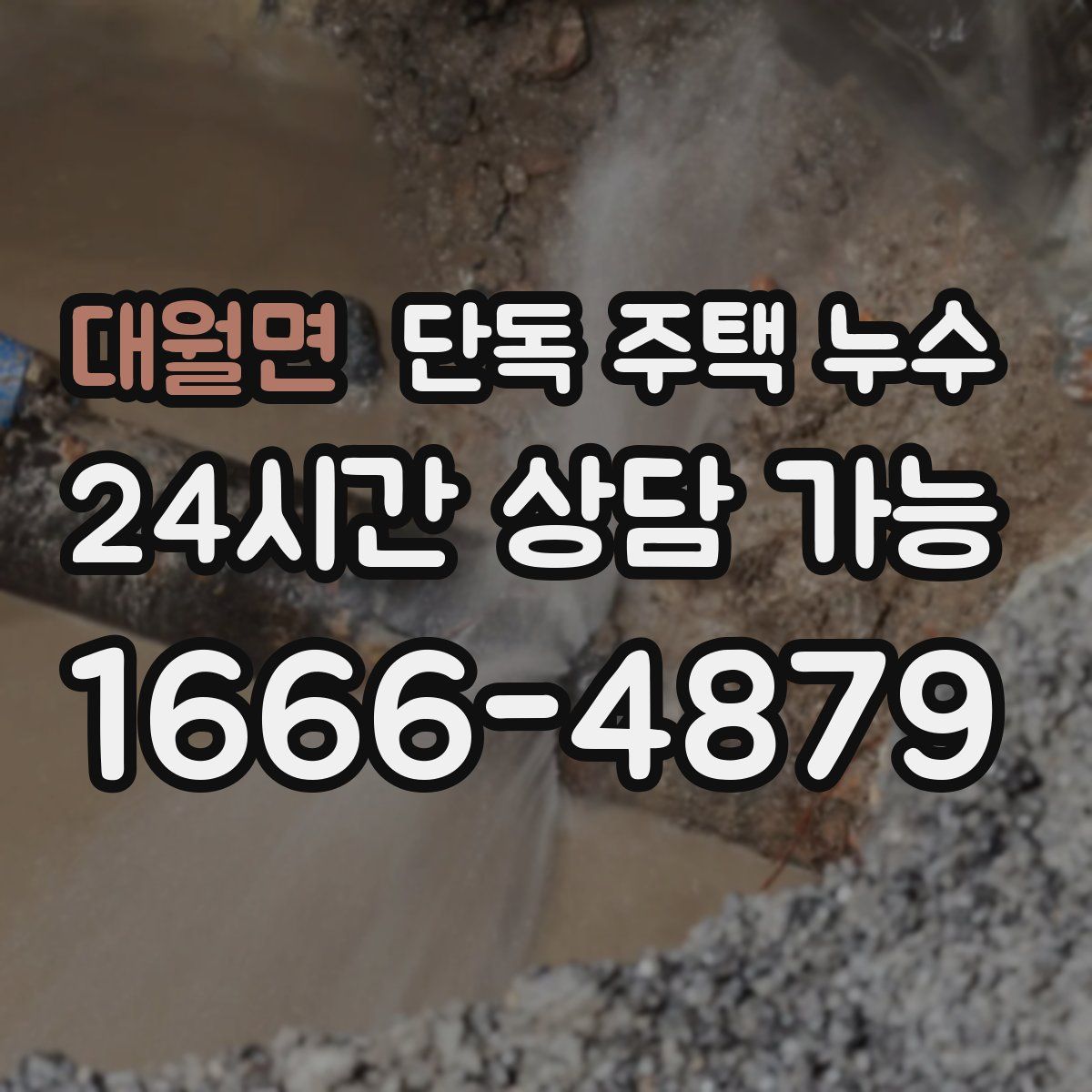 대월면 단독 주택 누수
