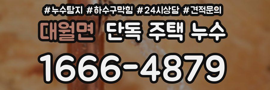 대월면 단독 주택 누수