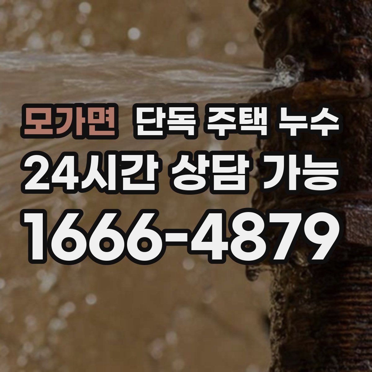 모가면 단독 주택 누수