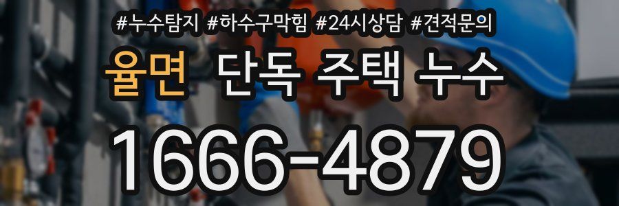 율면 단독 주택 누수