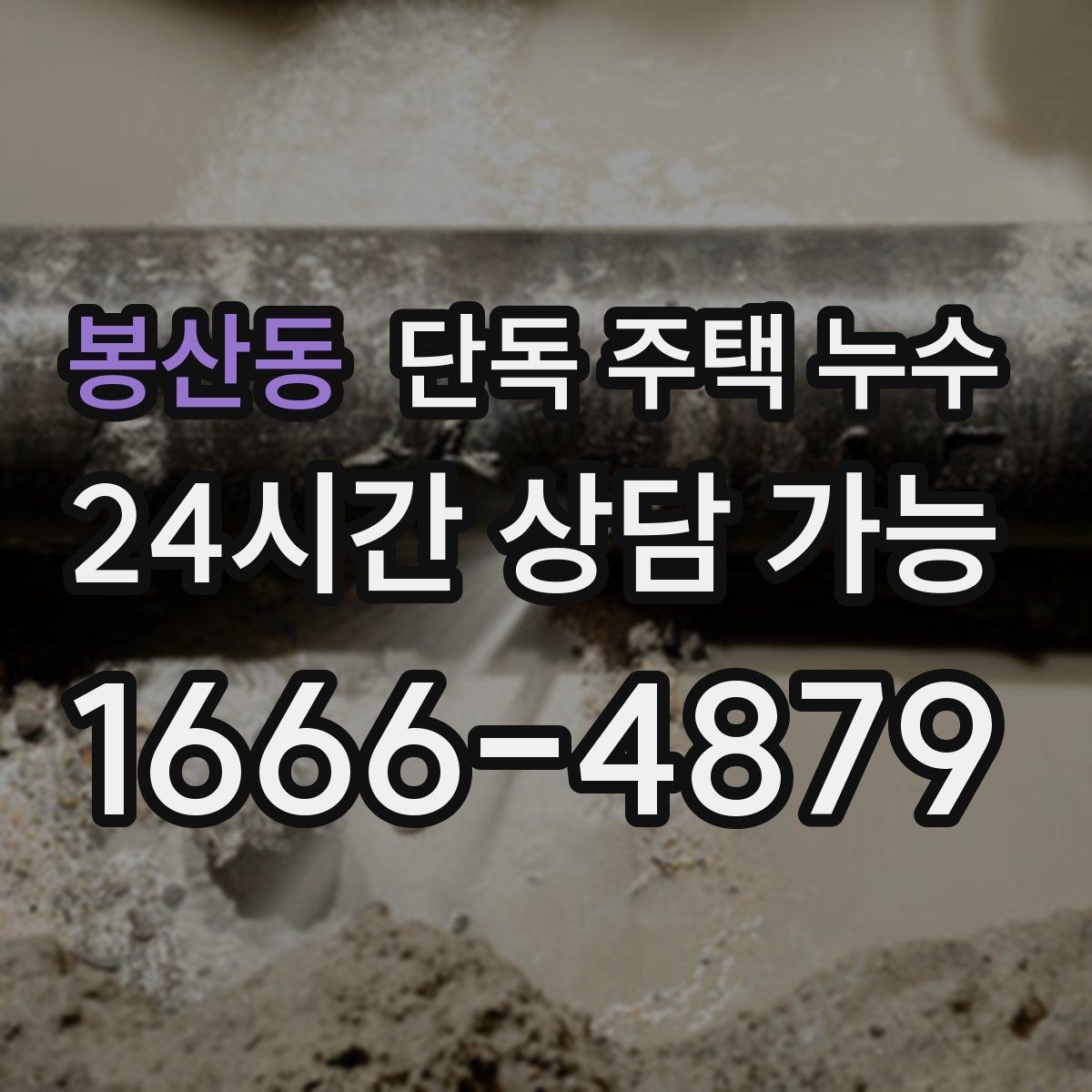 봉산동 단독 주택 누수 위층 없는 단독집도 욕실 누수가 생긴다