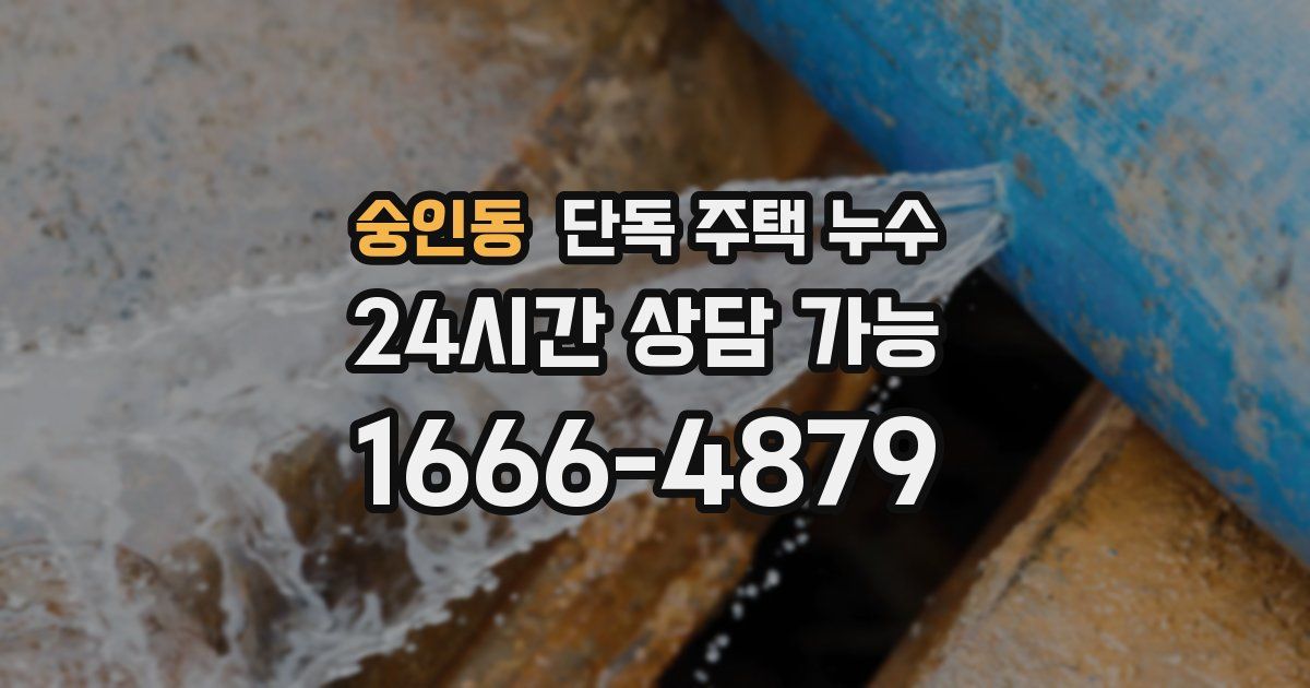 숭인동 단독 주택 누수