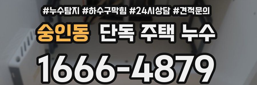 숭인동 단독 주택 누수
