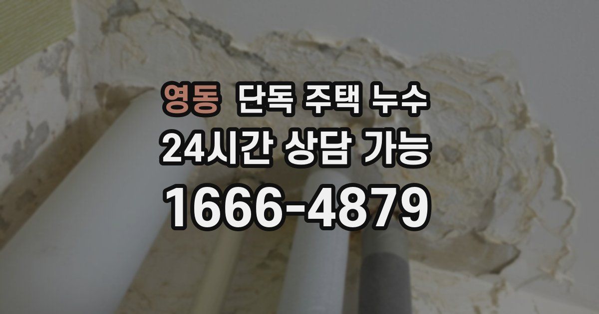 영동 단독 주택 누수