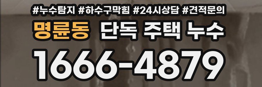 명륜동 단독 주택 누수