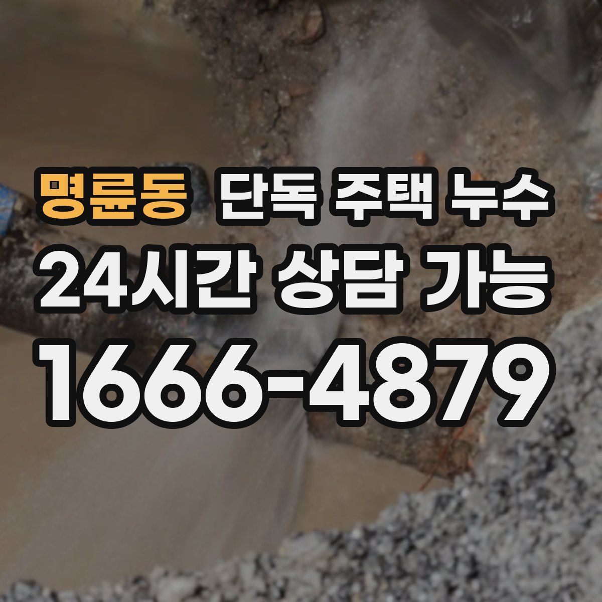 명륜동 단독 주택 누수