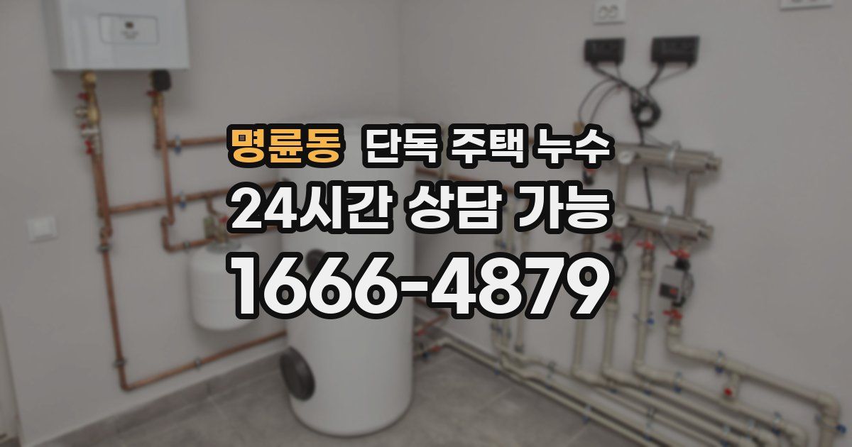 명륜동 단독 주택 누수