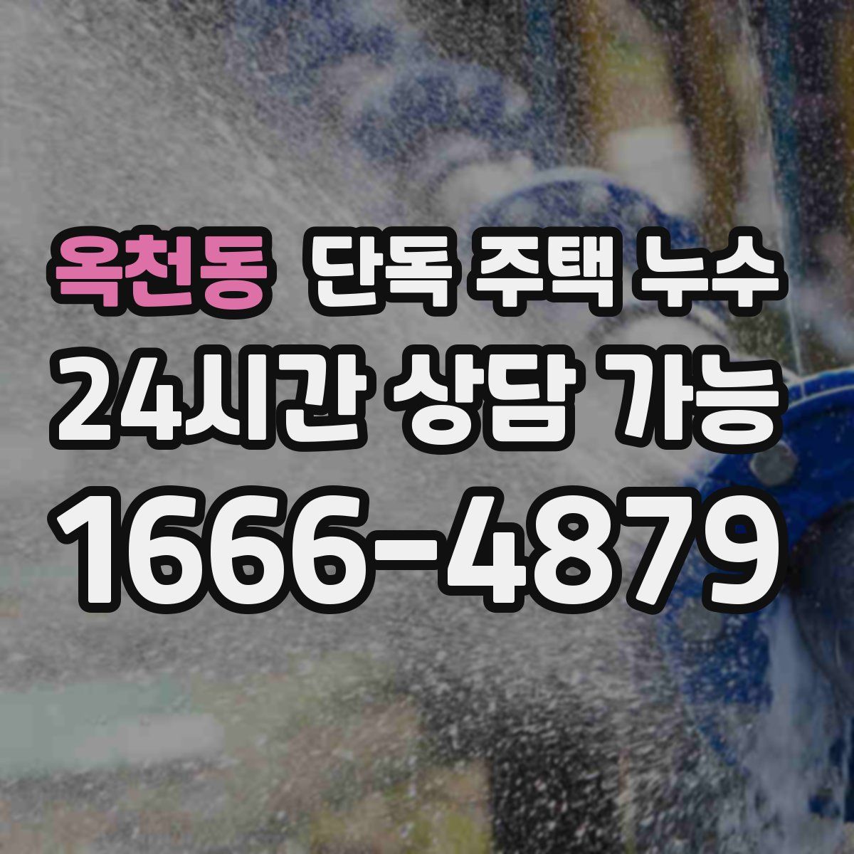 옥천동 단독 주택 누수