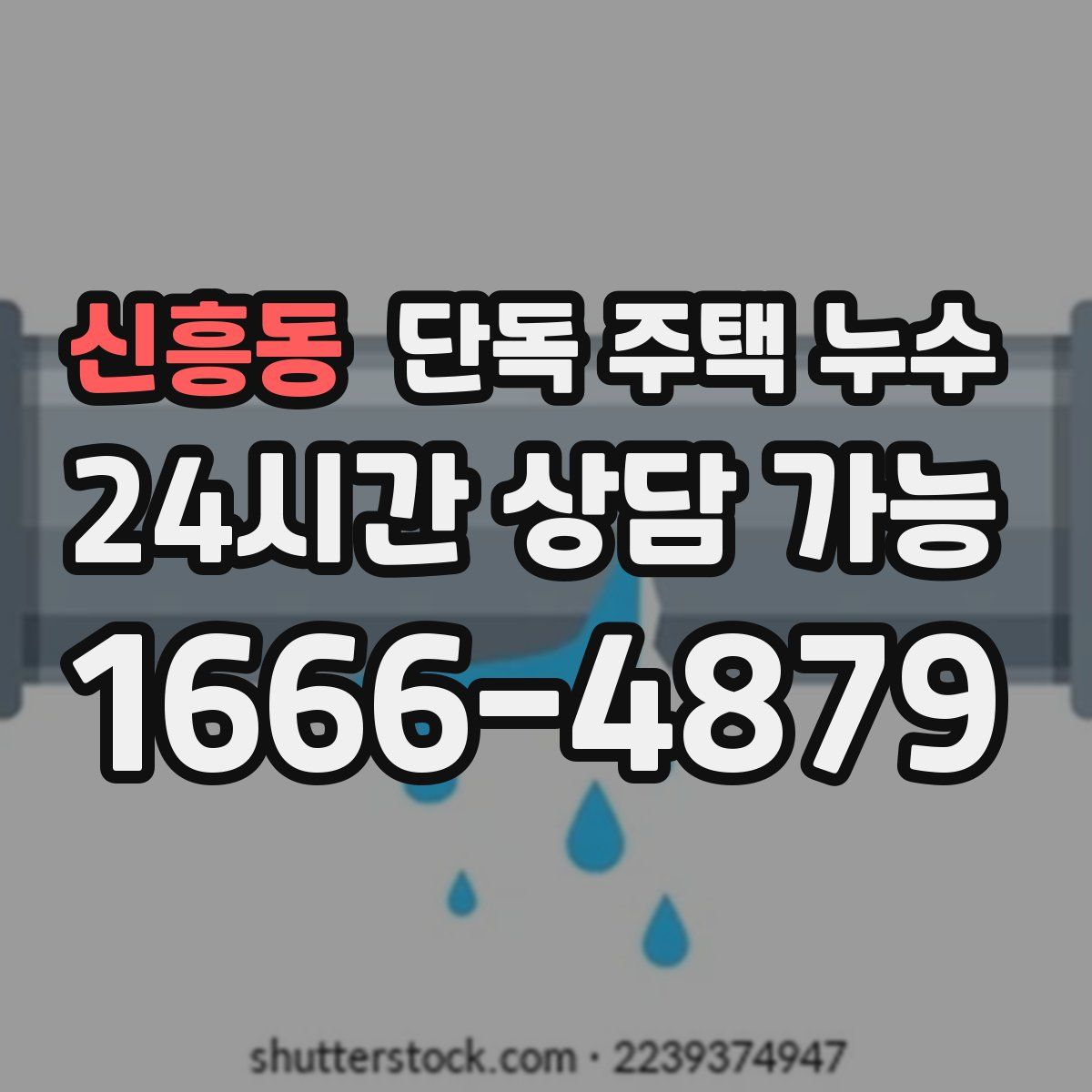 신흥동 단독 주택 누수