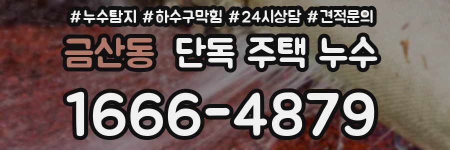 금산동 단독 주택 누수