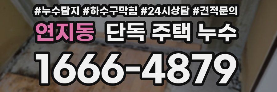 연지동 단독 주택 누수