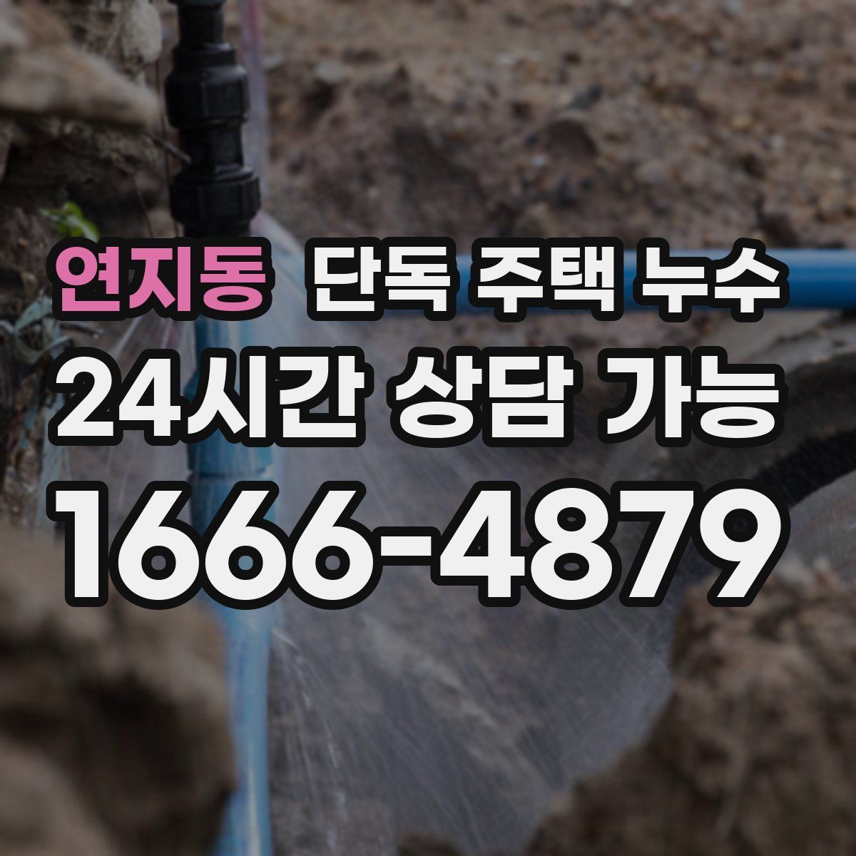 연지동 단독 주택 누수