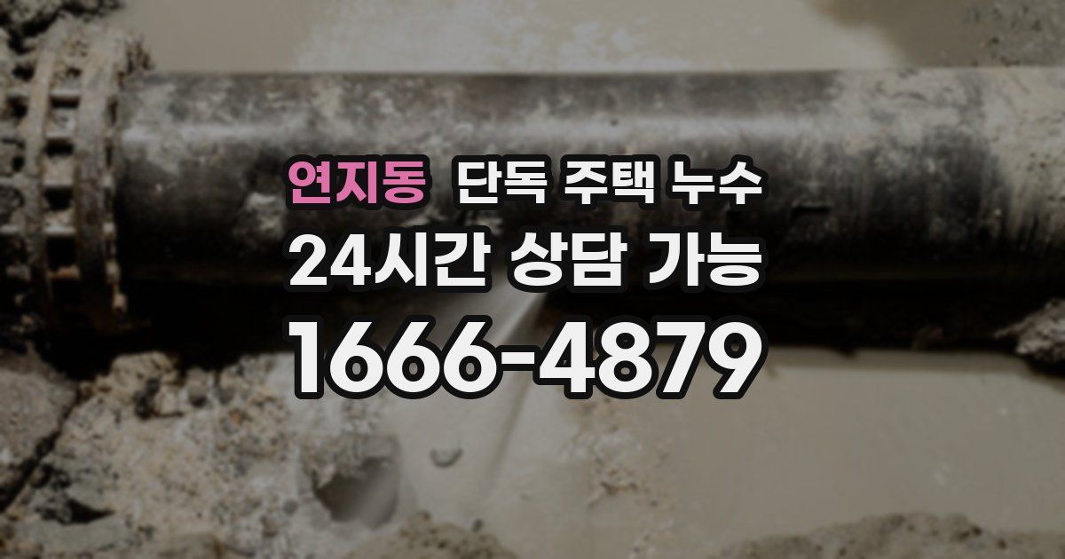 연지동 단독 주택 누수