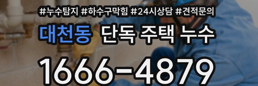 대천동 단독 주택 누수