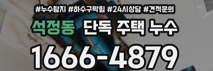 석정동 단독 주택 누수