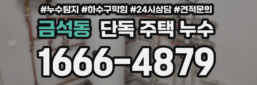 금석동 단독 주택 누수