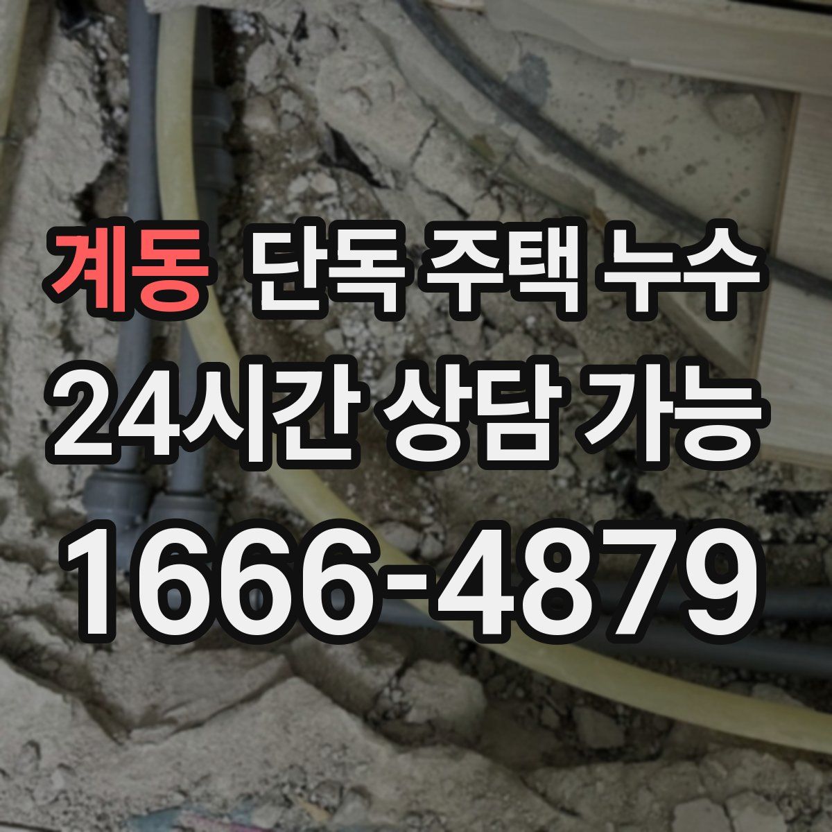 계동 단독 주택 누수