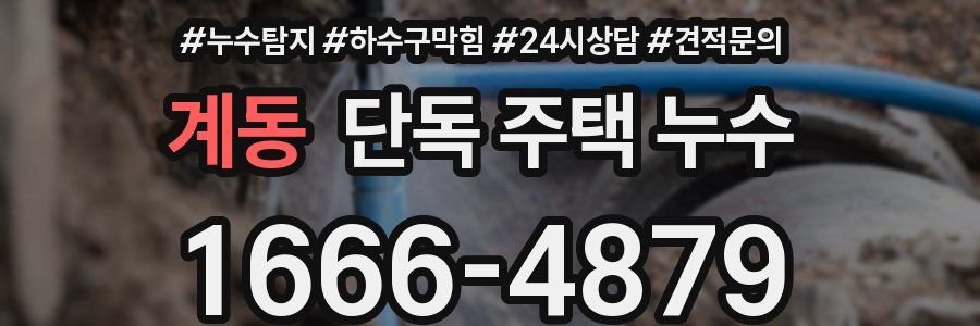 계동 단독 주택 누수