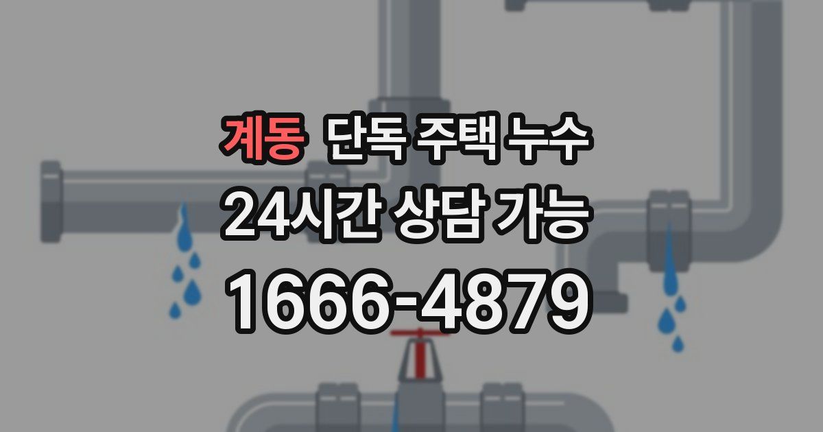 계동 단독 주택 누수