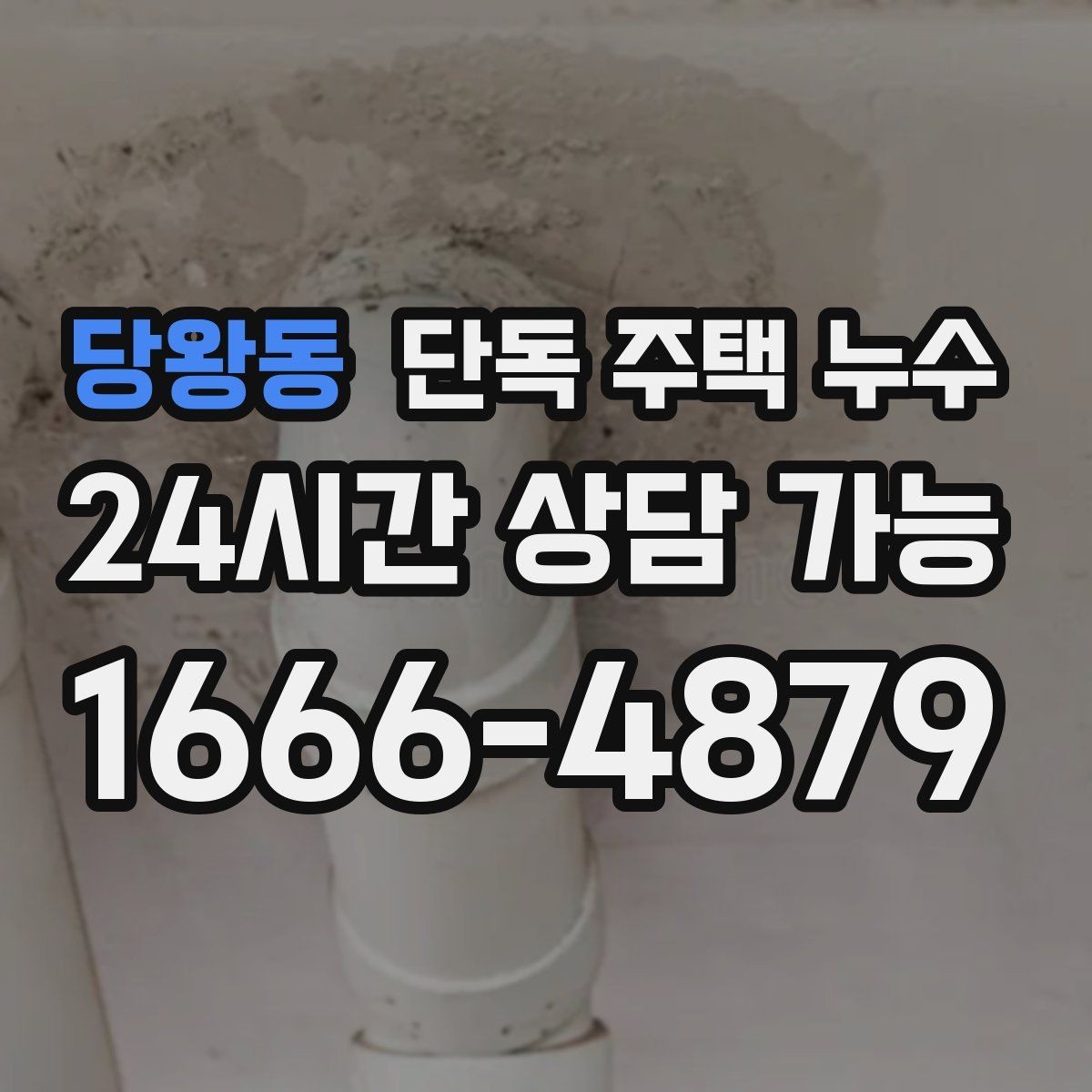 당왕동 단독 주택 누수 오래된 실리콘이 문제일 수 있는 상황