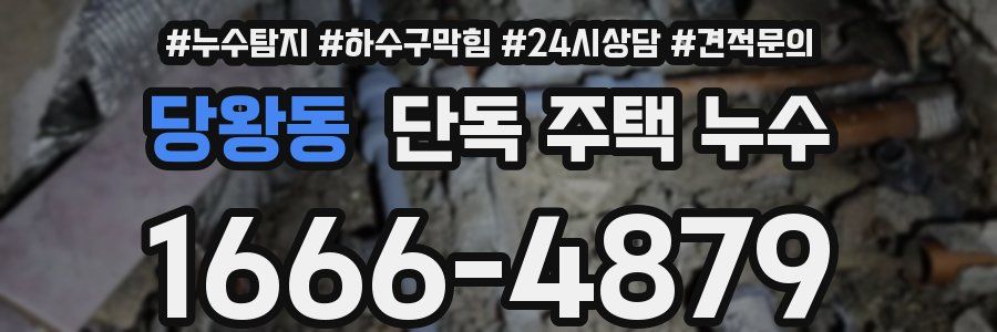 당왕동 단독 주택 누수
