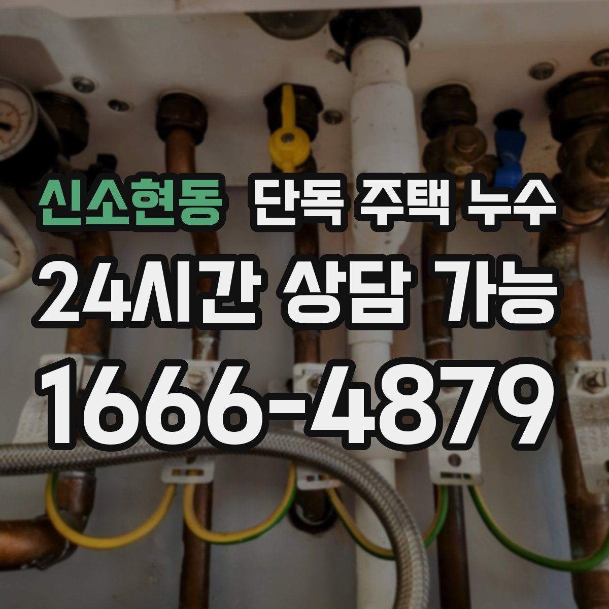 신소현동 단독 주택 누수