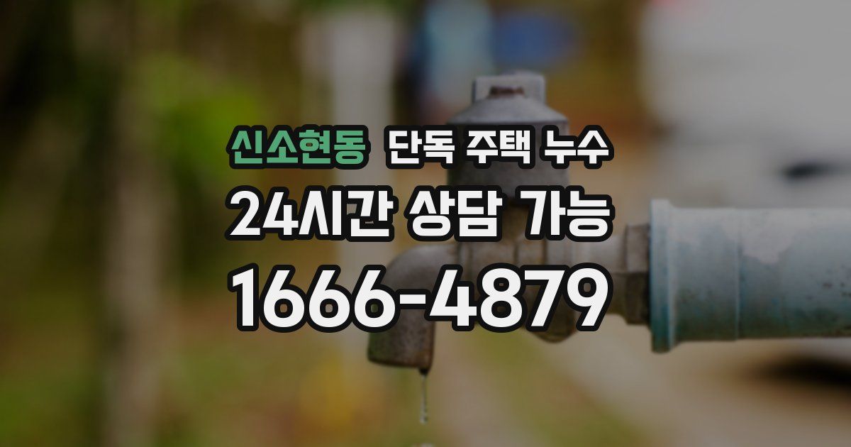 신소현동 단독 주택 누수