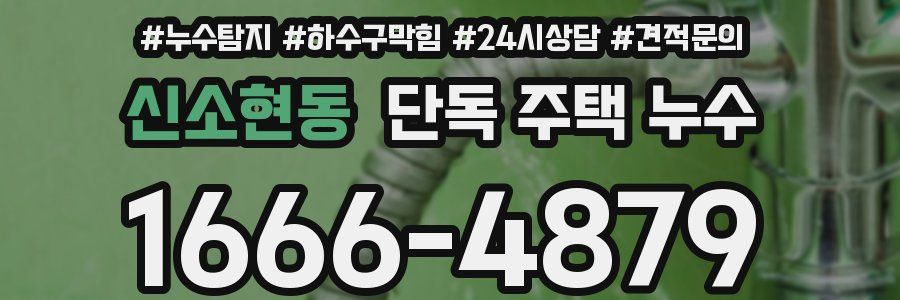신소현동 단독 주택 누수