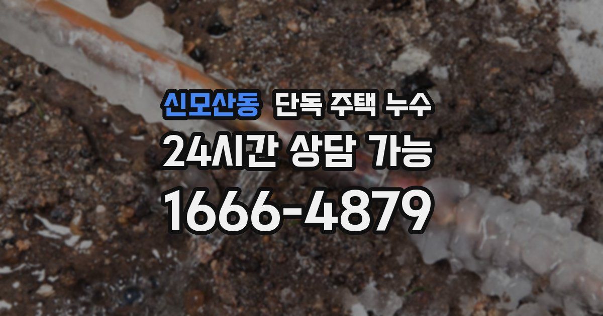 신모산동 단독 주택 누수