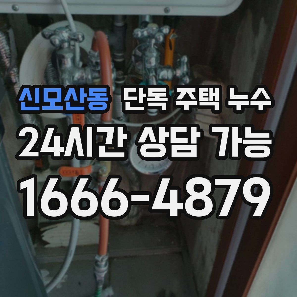 신모산동 단독 주택 누수