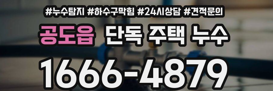 공도읍 단독 주택 누수