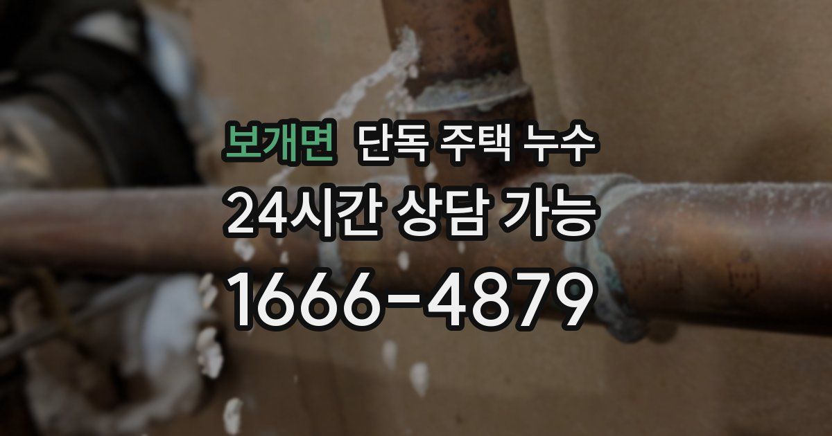 보개면 단독 주택 누수