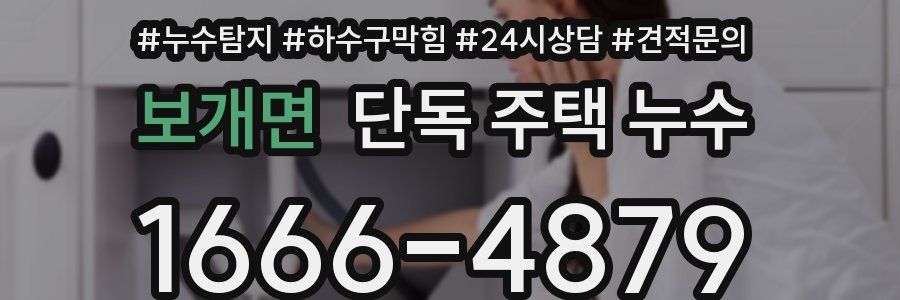 보개면 단독 주택 누수