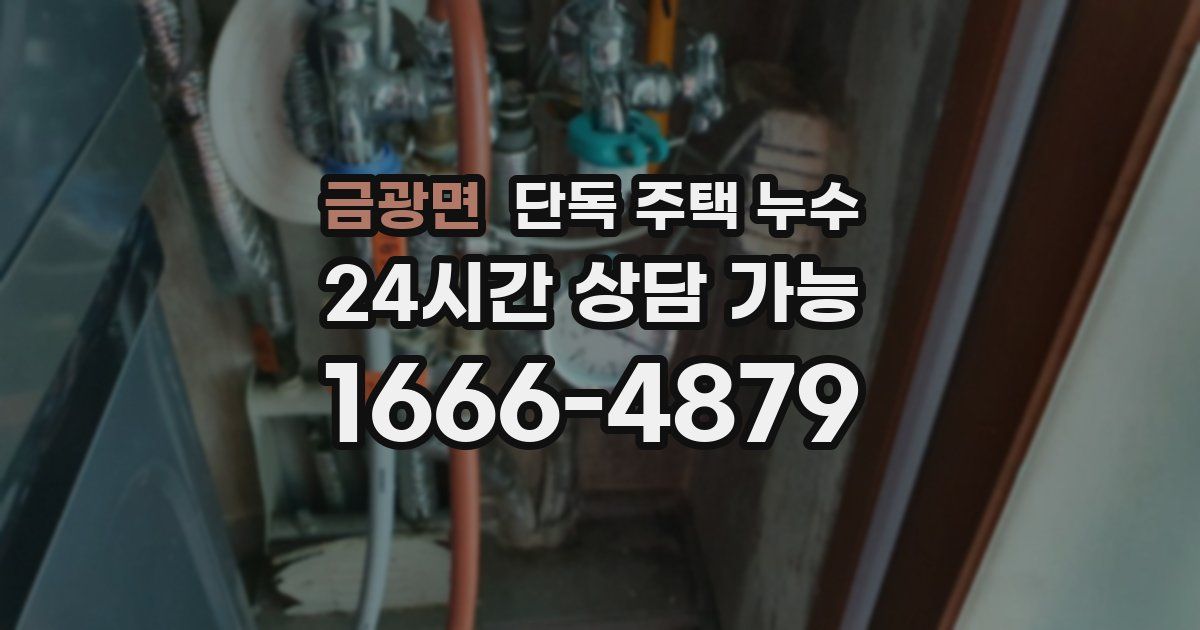 금광면 단독 주택 누수