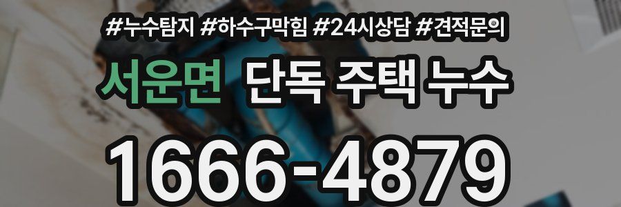 서운면 단독 주택 누수