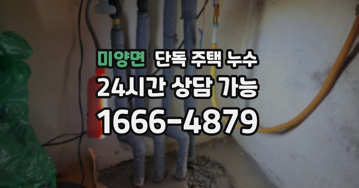 미양면 단독 주택 누수