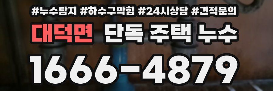 대덕면 단독 주택 누수