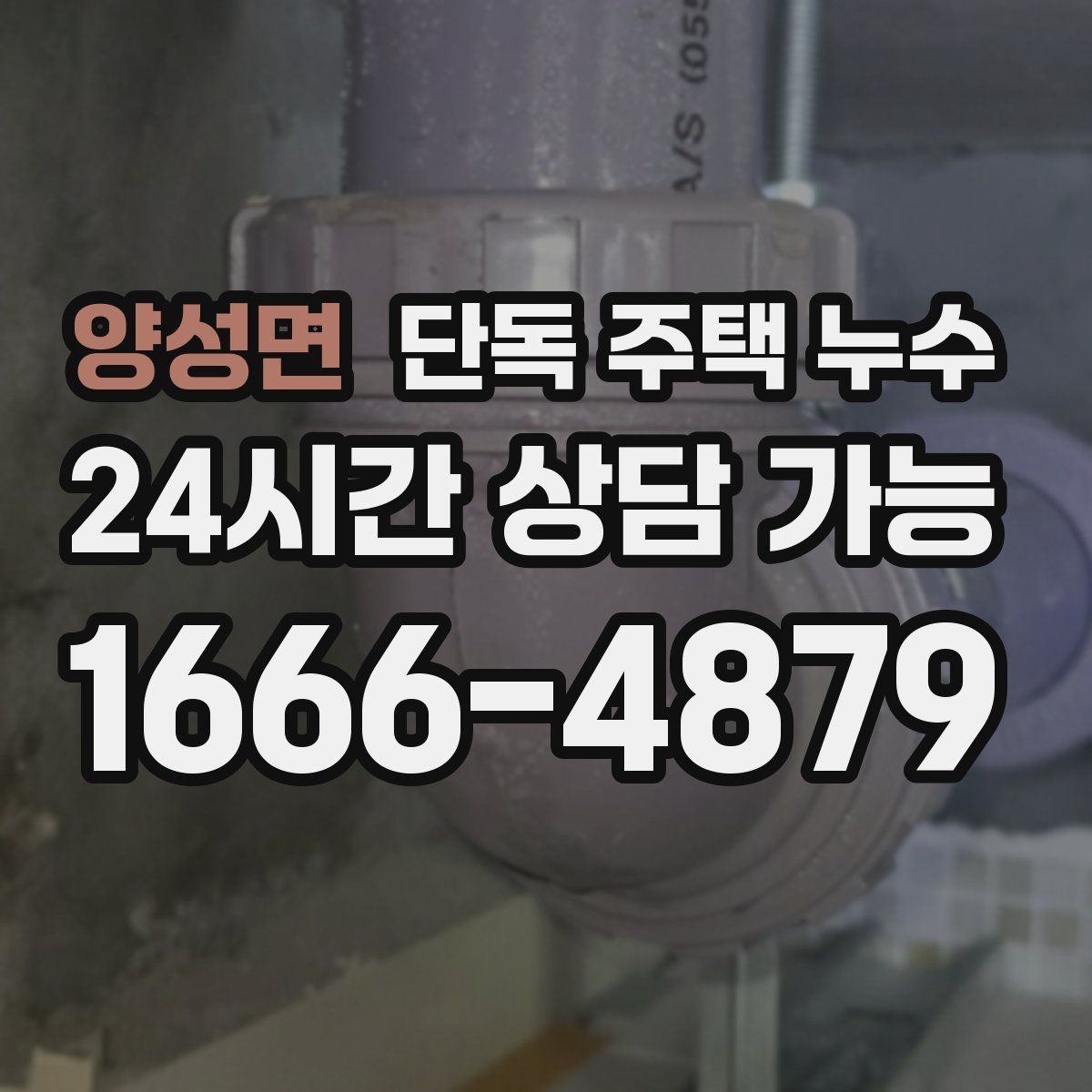 양성면 단독 주택 누수