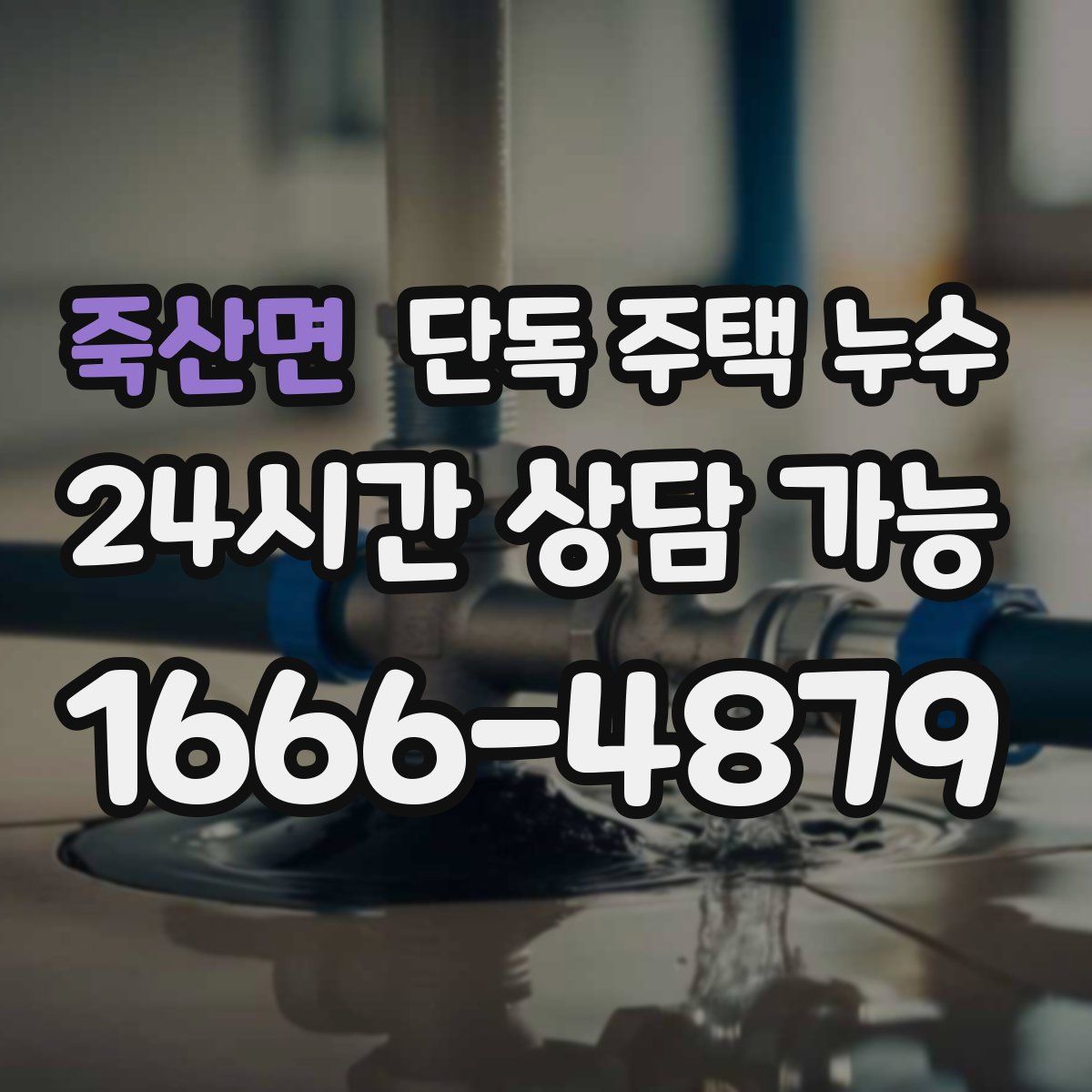 죽산면 단독 주택 누수