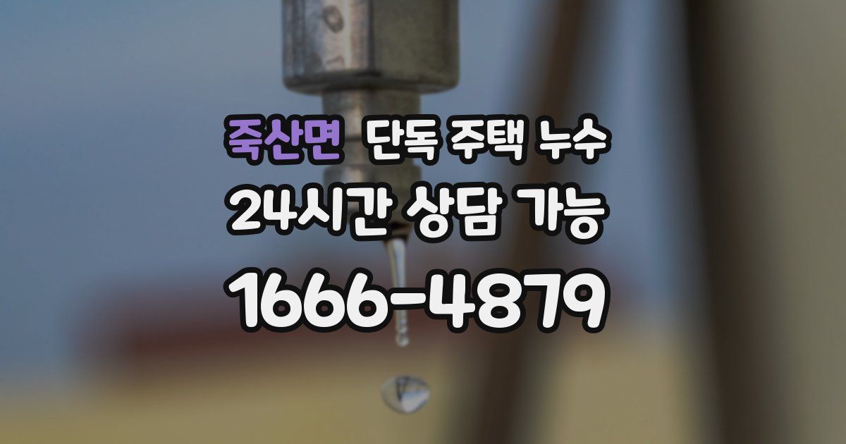 죽산면 단독 주택 누수